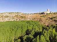 alb23148508 [ABM112341305]