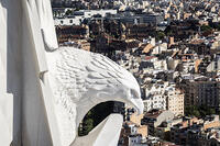Escultura de l aliga a la torre de Sant Joan, temple de la Sagrada Familia, Barcelona 14.05.2026 [ABM112368237]