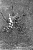 alb30348011 [ABM112407502]