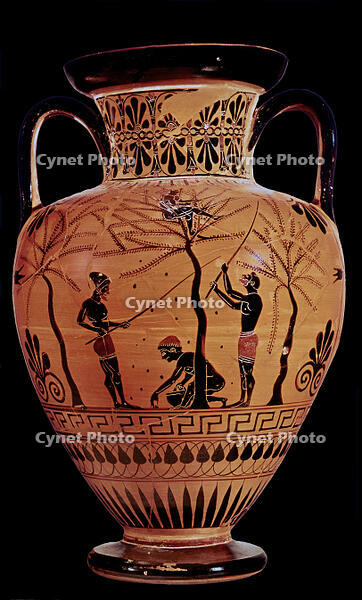 alb6147054 [ABM112251449]