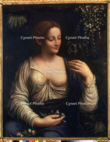 FRANCESCO MELZI. Flora. Credit: Album / Fine Art Images [ABM112345691]
