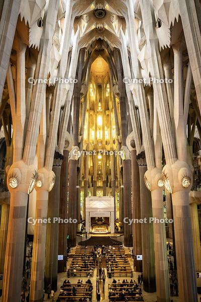 Interior de la basilica de la Sagrada Familia, a la imatge l aabsis vist des de la cantoria de la. fa?ana de la Gloria,.Barcelona 7.05.2026 [ABM112368218]
