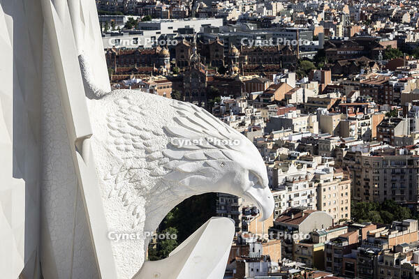 Escultura de l aliga a la torre de Sant Joan, temple de la Sagrada Familia, Barcelona 14.05.2026 [ABM112368237]