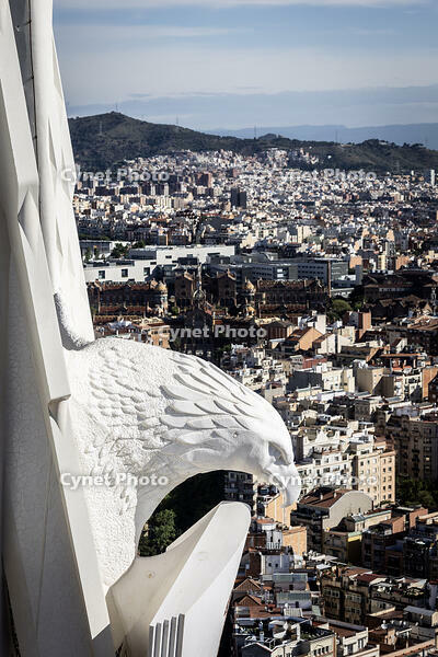 Escultura de l aliga a la torre de Sant Joan, temple de la Sagrada Familia, Barcelona 14.05.2026 [ABM112368238]