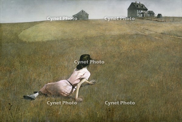 Christina's World. Museum: ý Museum of Modern Art, New York. Author: ANDREW WYETH. Copyright: This artwork is not in public domain. It is your responsibility to obtain all necessary third party permissions from the copyright handler in your country prior  [ABM110430314]
