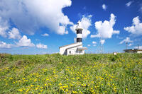 入道埼灯台 [TMA110070087]