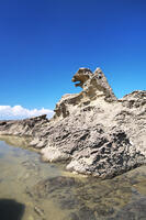 ゴジラ岩 [TMA110070094]