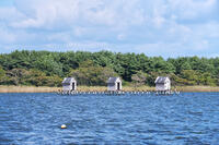 高瀬川（小川原湖）のマテ小屋 [TMA110070115]