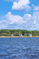 高瀬川（小川原湖）のマテ小屋 [TMA110070117]