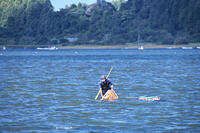 小川原湖のシジミ貝採り [TMA110070118]