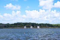 高瀬川（小川原湖）のマテ小屋 [TMA110070119]