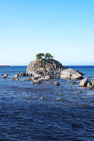 蛇浦海岸の草島 [TMA110070132]