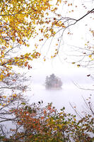 然別湖の朝霧と紅葉と弁天島 [TMA110070144]