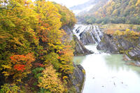 千鳥ケ滝と夕張川の紅葉 [TMA110070168]