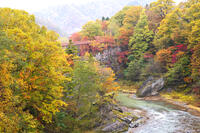 滝の上公園の紅葉と夕張川 [TMA110070171]
