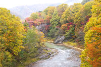 滝の上公園の紅葉と夕張川 [TMA110070172]