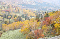日勝峠の朝霧と紅葉 [TMA110070182]
