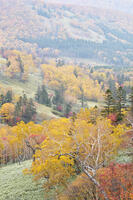 日勝峠の朝霧と紅葉 [TMA110070184]