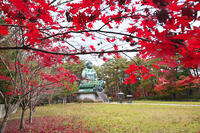 能登長寿大仏　紅葉 [TMA110070776]