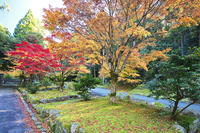 永光寺の紅葉 [TMA110070783]