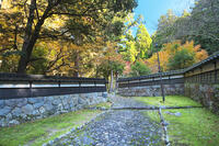 永光寺の紅葉 [TMA110070784]