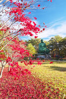 能登長寿大仏　紅葉 [TMA110070820]
