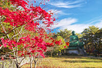 能登長寿大仏　紅葉 [TMA110070821]