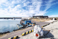 仮復旧した鹿磯漁港 [TMA110070835]