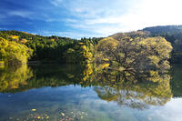 蛇ヶ池　紅葉 [TMA110070857]
