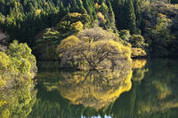 蛇ヶ池　紅葉 [TMA110070858]