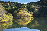 蛇ヶ池　紅葉 [TMA110070859]