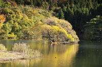 蛇ヶ池　紅葉 [TMA110070866]