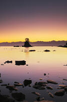 雨晴海岸と女岩と立山連峰の朝 [TMA110070871]