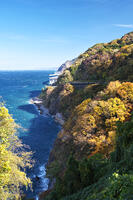 親不知の紅葉と北陸自動車道と日本海　新潟県 [TMA110070902]
