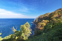 親不知の紅葉と北陸自動車道と日本海　新潟県 [TMA110070903]