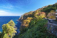 親不知の紅葉と北陸自動車道と日本海　新潟県 [TMA110070904]