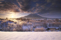 尻別川の樹氷と羊蹄山の日の出 [TMA110070921]