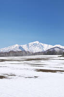 夕張山地と残雪の農地 [TMA110071748]