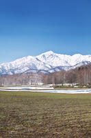 夕張山地と残雪の農地 [TMA110071754]