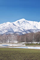 夕張山地と残雪の農地 [TMA110071756]