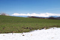 十勝岳連峰と残雪の農地 [TMA110071786]