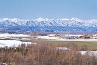 日高山脈と残雪の農地 [TMA110071819]