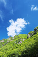 層雲峡の新緑 [TMA110073293]