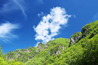 層雲峡の新緑 [TMA110073294]