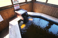 十勝が丘公園のモール温泉足湯 [TMA110073372]