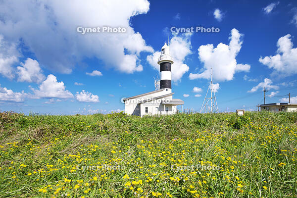 入道埼灯台 [TMA110070087]