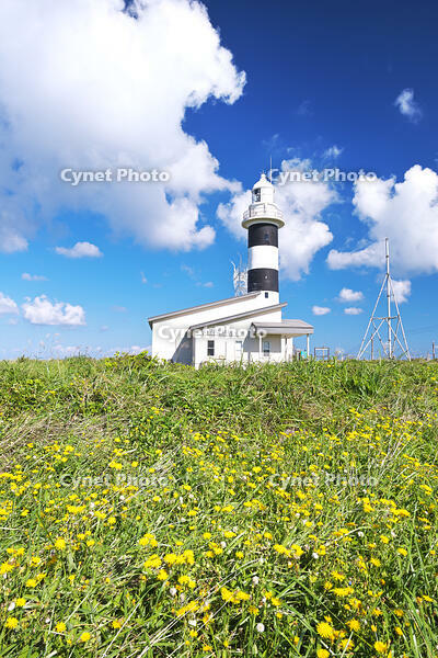 入道埼灯台 [TMA110070088]