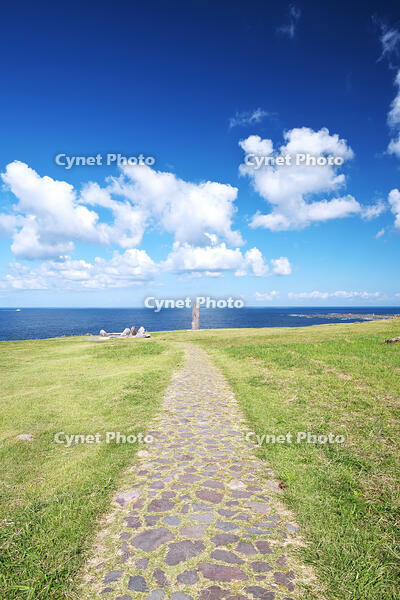 入道崎と北緯40度のモニュメント [TMA110070091]