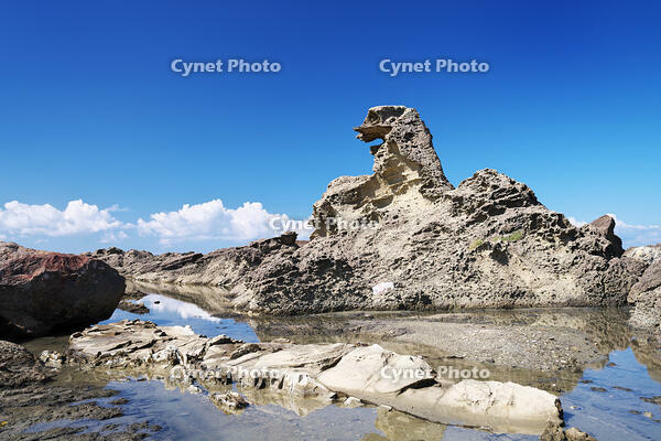ゴジラ岩 [TMA110070092]