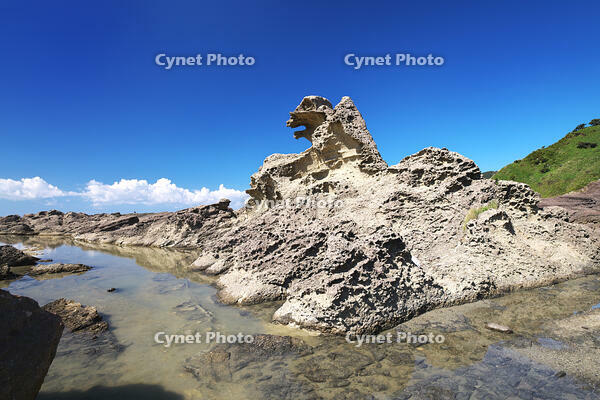 ゴジラ岩 [TMA110070093]